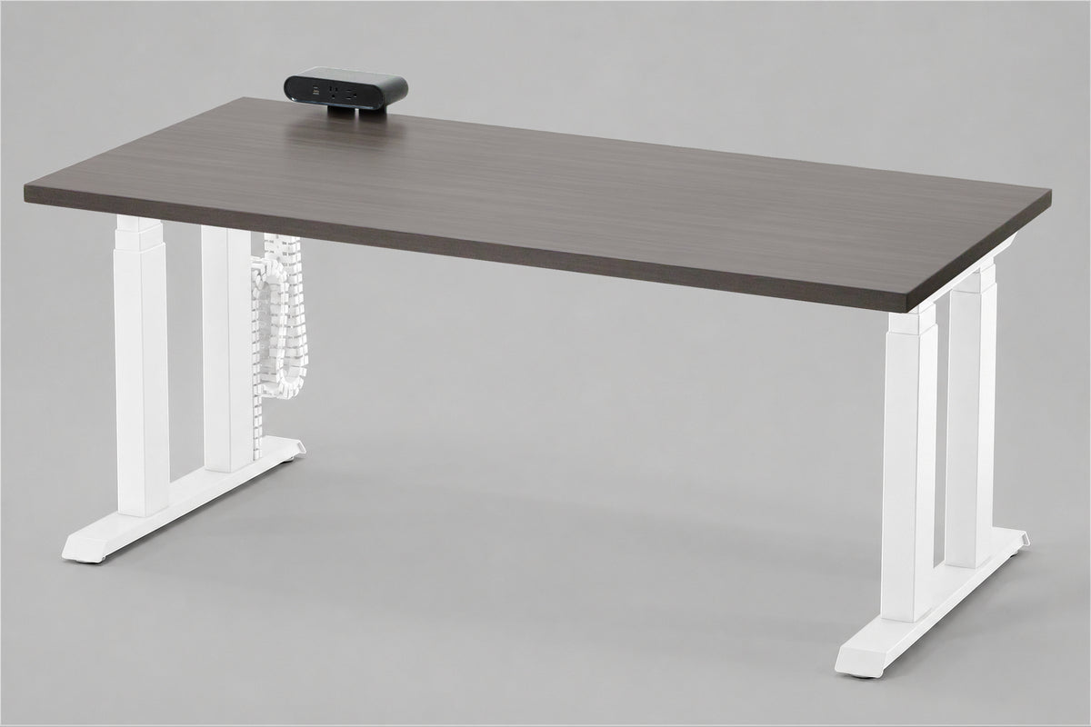Lansing Desk