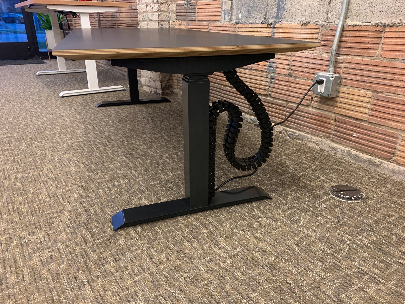 Wire Snake – DeskHaus